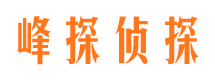 横县市私家侦探